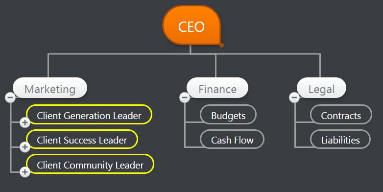 Consultant Organization Chart